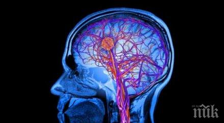 прости техники тренирате мозъка