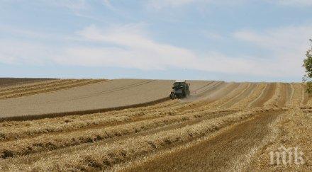 изгодно продажбата земя гарантира добра сделка