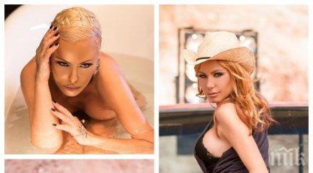 горещо кралицата провокациите пак подпали мрежата вижте мачка дупето камелия снимка