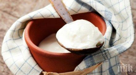 киселото мляко скача двойно граница гроздовата ракийка тройно