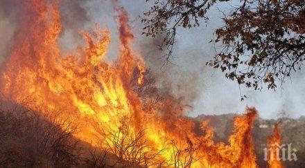 огнен три големи пожара бушуват хасково готовност затваряне марица