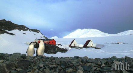 учени тревожно 2020 топлата антарктическия полуостров