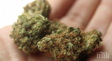 съдът наложи наказание годишен дилър марихуана