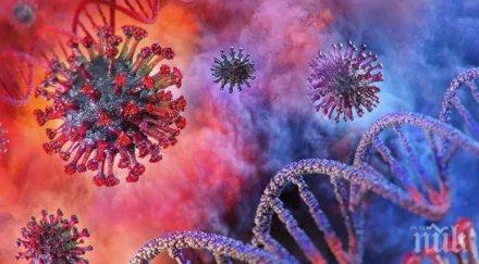 шеф старчески дом починали covid обвинение прокуратурата ниш