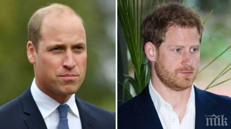 Трагедия разтърси кралското семейство: 20-годишна братовчедка на Уилям и Хари е намерена мъртва