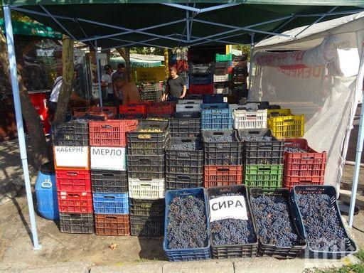 След скандал на пазара в Благоевград, мъж счупи ръката на продавачка