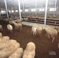 фермерите настояват евросубсидиите облагат данъци
