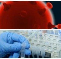 ГОРЕЩИ ДАННИ: Нов черен рекорд - 612 са новите случаи на коронавирус. Най-много са заразените в София, Пловдив и Благоевград. 7 души починаха за последните 24 часа (ТАБЛИЦА)