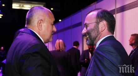 политологът петър емил митев подкрепата енп герб инвестиция партията борисов голяма тежест критиките