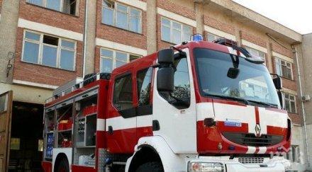 стършел нападна пожарникар