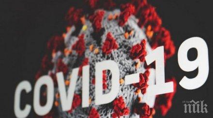 746 заразени коронавируса франция денонощие