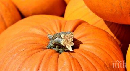 рекорд 320 метров тиквеник изпекоха севлиево