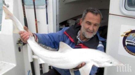 хванаха уникална акула албинос снимки