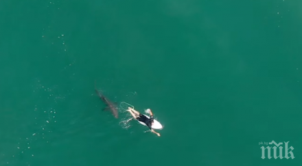 сърфист гребе спокойно изобщо подозира видео