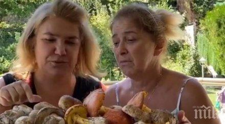 катето евро експлоатира марта вачкова туршии