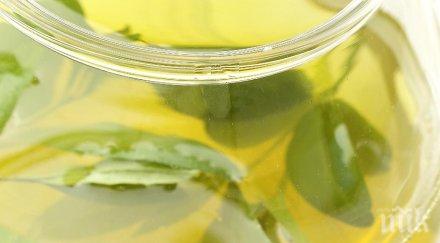 търсете пълния билков целебник рецепти 150 лековити растения силен имунитет сезона грипа настинките