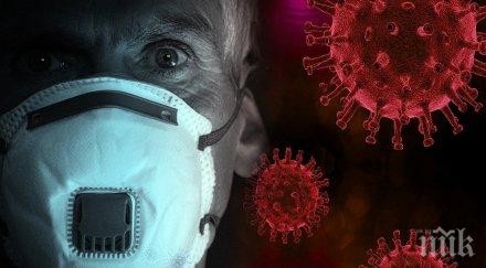 масови проверки спазване мерките магазини заведения пазарджик