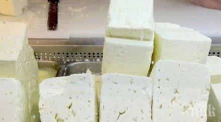 одобряват проекта балканско сирене дни