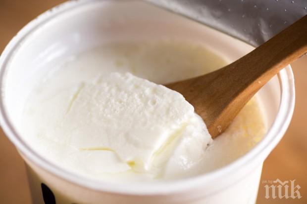 Най-големият млекопроизводител у нас с нов собственик