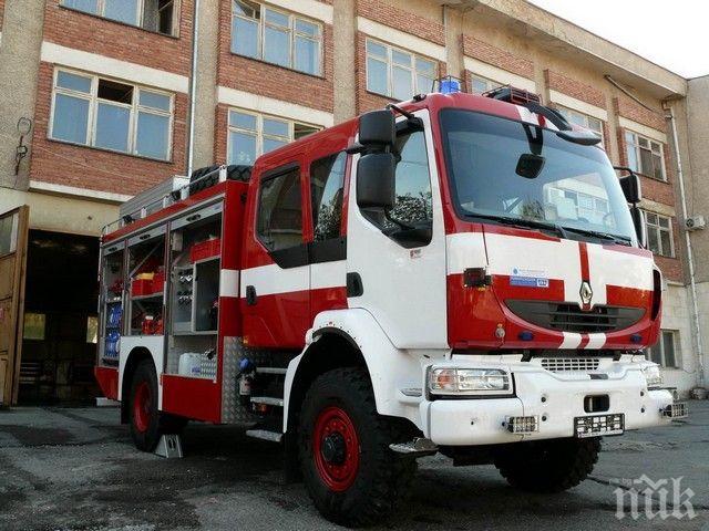 Стършел нападна пожарникар