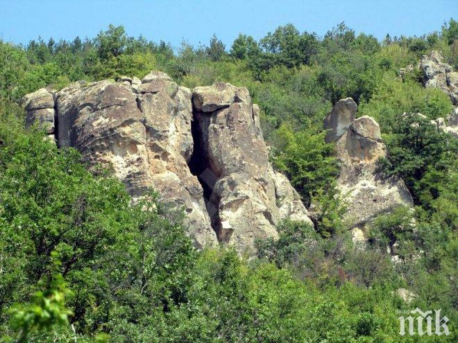 Разбиха бивак на иманяри край Кърджали