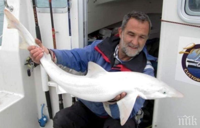 Хванаха уникална акула албинос (СНИМКИ)