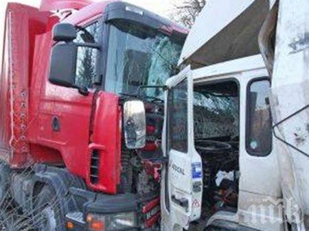 МЕЛЕ: Два тира се блъснаха челно край Видин, турчин лежи в болницата потрошен