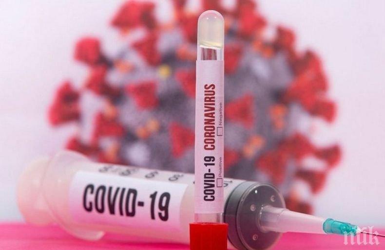 Изследване: Ето колко оцелява коронавирусът върху кожата ни