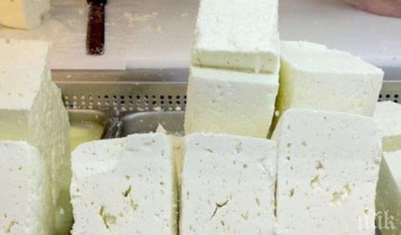 Одобряват проекта “Балканско сирене“ до дни