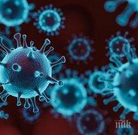 ПАНДЕМИЯ: 16 са заразени с коронавирус от дома за умствено изостанали в Сливенско