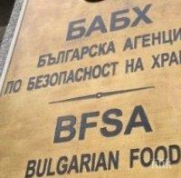 БАБХ потвърди заболяването „син език“ при сърни в област Сливен