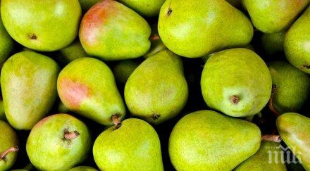 крушите естествен антибиотик хапвайте укрепване здравето