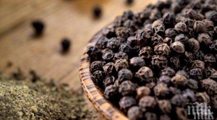 черният пипер потиска активността covid