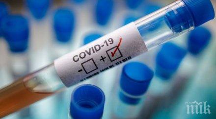 проучване жените засегнати коронавирусната криза