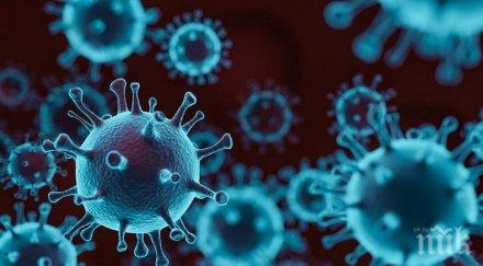 пандемия заразени коронавирус дома умствено изостанали сливенско