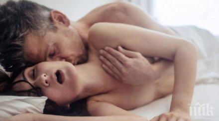 проучване разкрива факти сексуалния живот германците