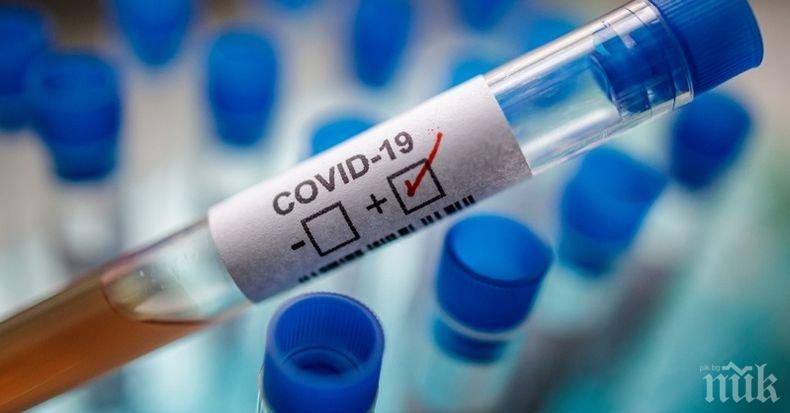 Проучване: Жените са най-засегнати от коронавирусната криза