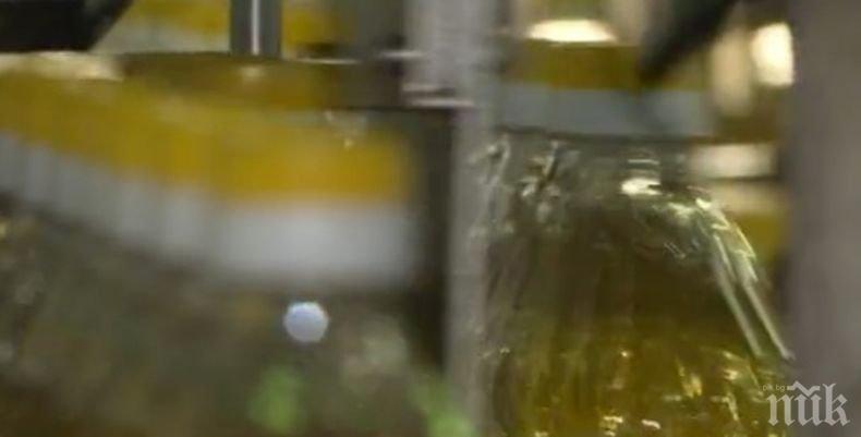 Цената на олиото скочи с 30 процента заради ниските добиви на слънчоглед
