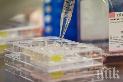 Започва изледването с PCR тестове на настанените в дома Качулка