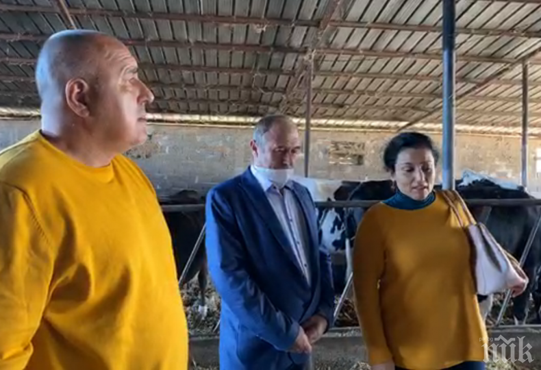 ПЪРВО В ПИК TV: Борисов посети голяма кравеферма и съобщи кои фермери получават стотици милиони помощ от държавата (ОБНОВЕНА)
