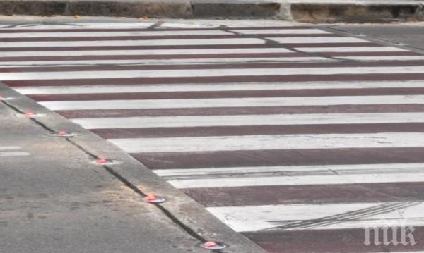 Шофьорка помете възрастна жена на зебра