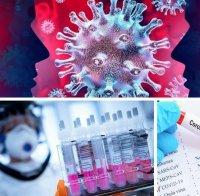 ПОСЛЕДНИ ДАННИ! Рекордни 819 нови случая на COVID-19 у нас. Починалите за денонощието са шестима