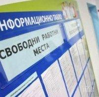 инспектори спипаха работници без трудови договори пазарджик