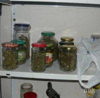 В Бургас удариха 12 дилъри - крили трева в буркани като туршии