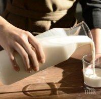 Според учените: Чаша мляко преди лягане върши чудеса