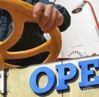 ОТ СЕПТЕМВРИ! ОПЕК увеличава производството си на петрол с нови 548 000 барела на ден