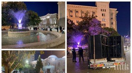 търси метежът пустош завладя триъгълника властта живо пиле снимки