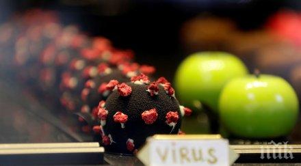 covid десерт превърна тотален хит прага снимки