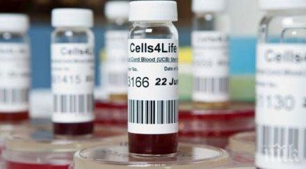 клинични проучвания лечение covid стволови клетки