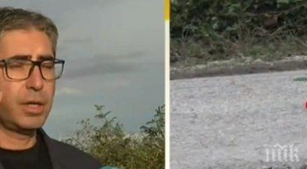 засадиха коледни звезди дупките разбит път